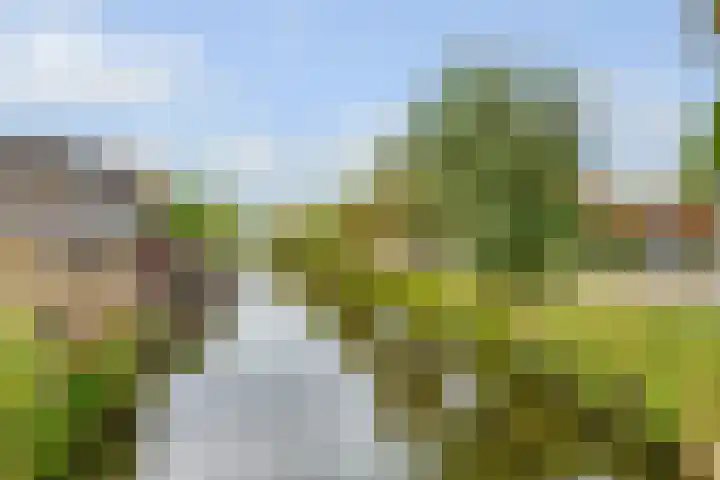 J.H.Valkenburglaan 22 Kortenhoef thumbnail 32