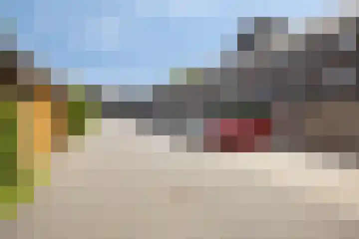 J.H. van Bolhuispad 12 Deventer thumbnail 26