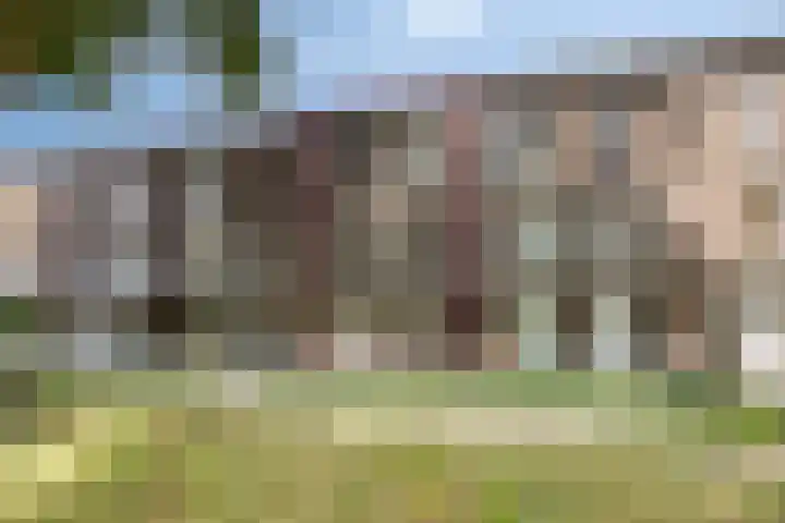 J.H. van Bolhuispad 12 Deventer thumbnail 27
