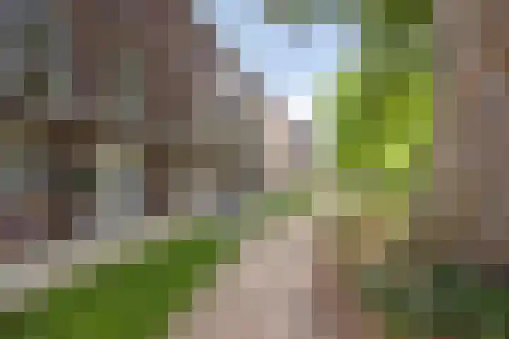 J.H. van Bolhuispad 12 Deventer thumbnail 30