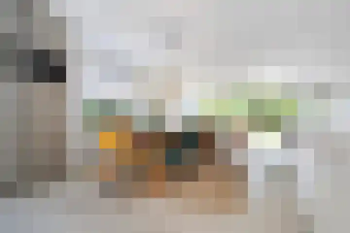 J.H. van den Broekstraat 10 Rotterdam thumbnail 4