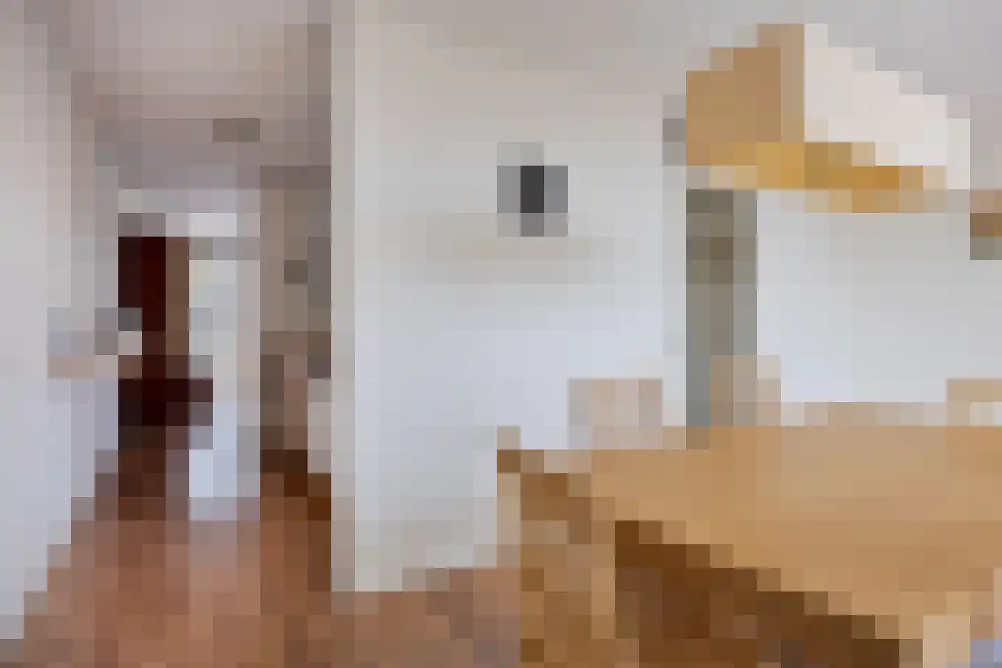 J.H. van den Broekstraat 15 Rotterdam thumbnail 24