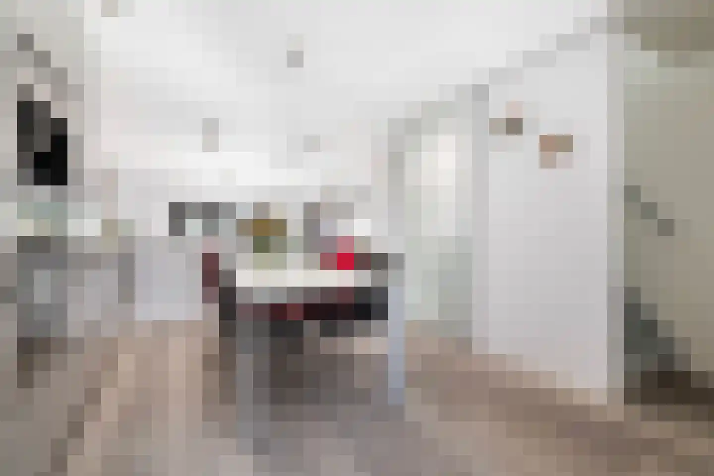 J.H. van den Broekstraat 6 Rotterdam thumbnail 13