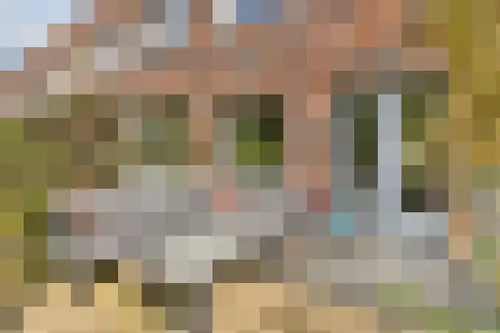 J.H. van den Broekstraat 87 Rotterdam thumbnail 7