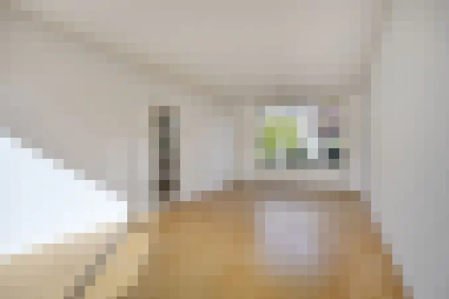 J.H. van Linschotenlaan 9 Gouda thumbnail 8