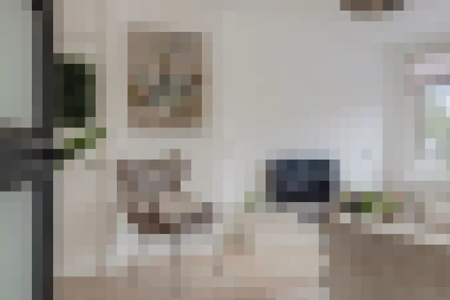 J.H. van Straaten van Nesplantsoen 27 Boskoop thumbnail 11