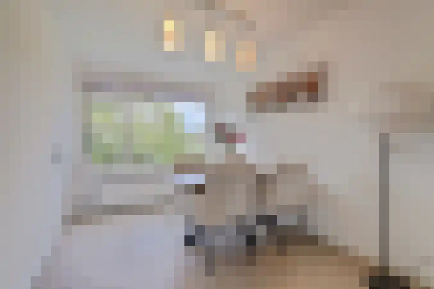 J.H. van Straaten van Nesplantsoen 27 Boskoop thumbnail 15