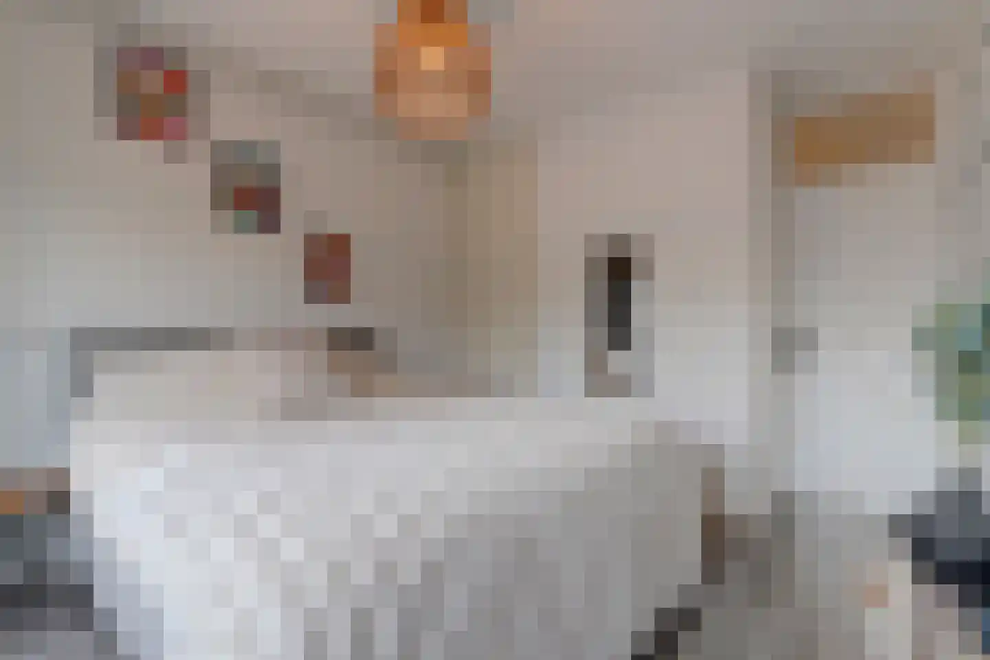 J.H. van Straaten van Nesplantsoen 27 Boskoop thumbnail 20