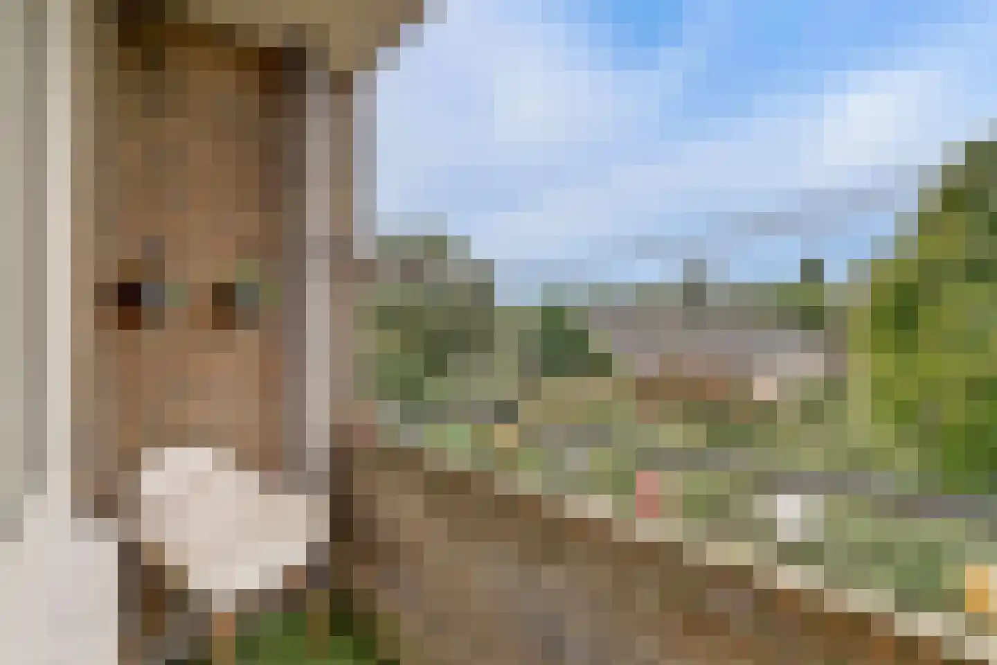 J.H. van Straaten van Nesplantsoen 27 Boskoop thumbnail 27