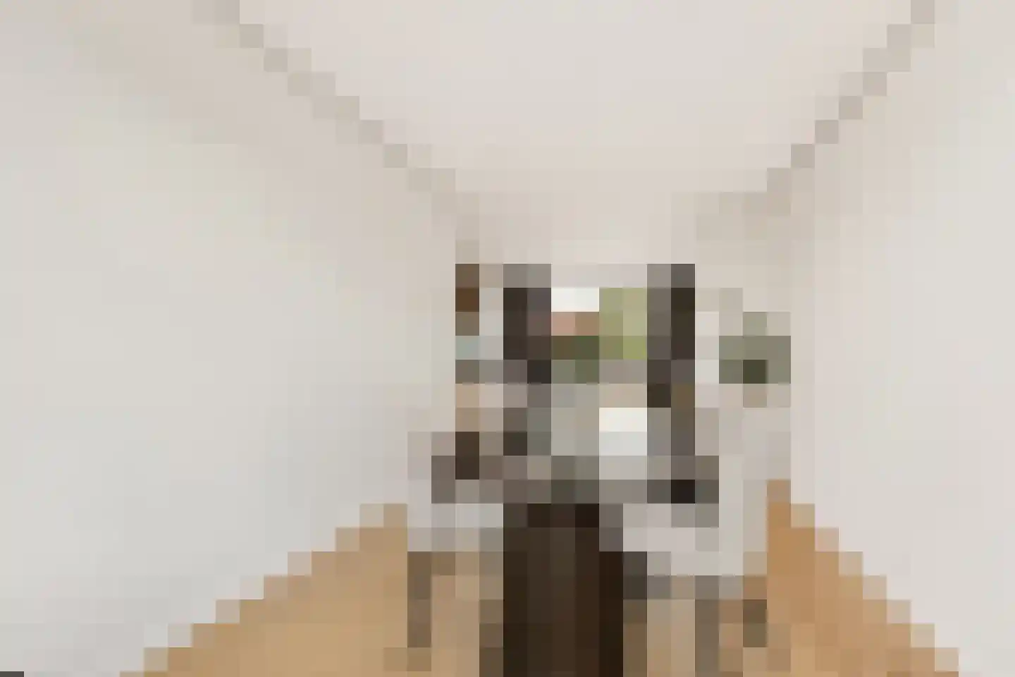 J.H. van Straaten van Nesplantsoen 35 Boskoop thumbnail 10