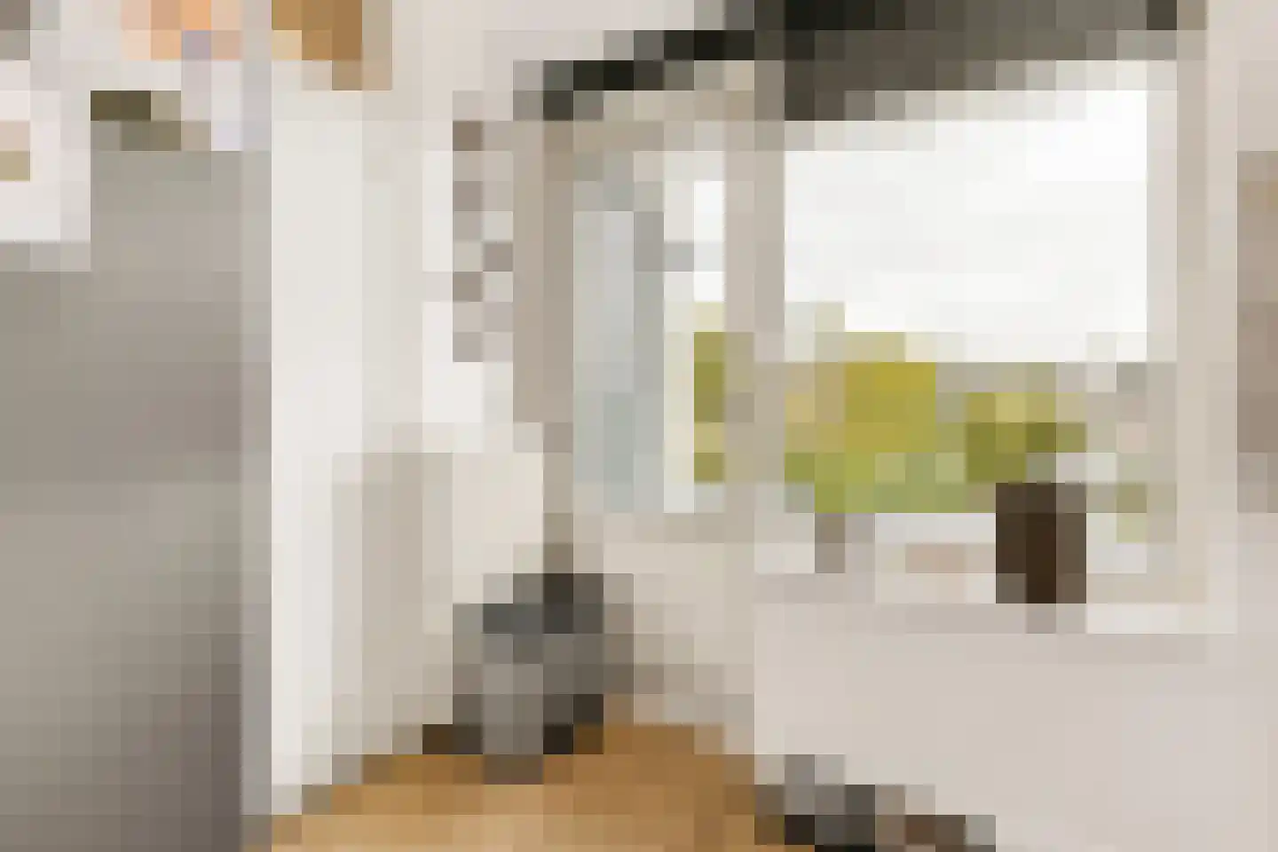 J.H. van Straaten van Nesplantsoen 35 Boskoop thumbnail 14