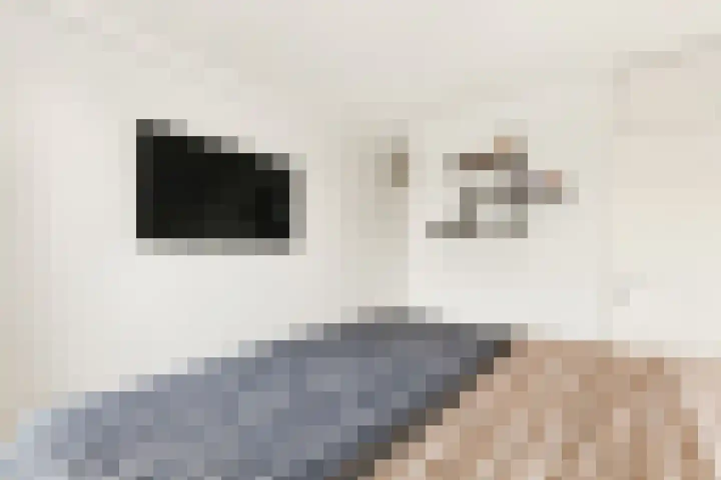 J.H. van Straaten van Nesplantsoen 35 Boskoop thumbnail 18
