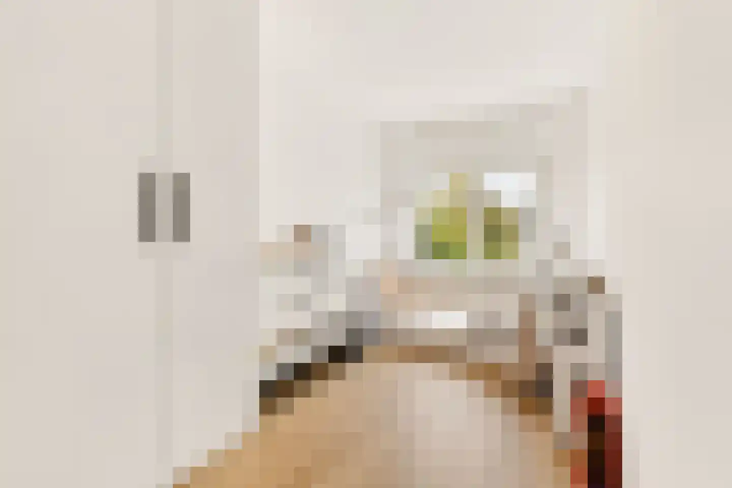 J.H. van Straaten van Nesplantsoen 35 Boskoop thumbnail 19