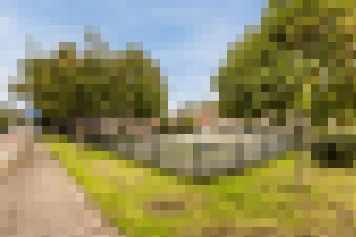 J.H. van Straaten van Nesplantsoen 35 Boskoop thumbnail 26