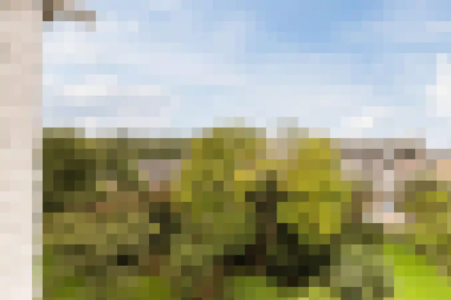 J.H. van Straaten van Nesplantsoen 35 Boskoop thumbnail 27