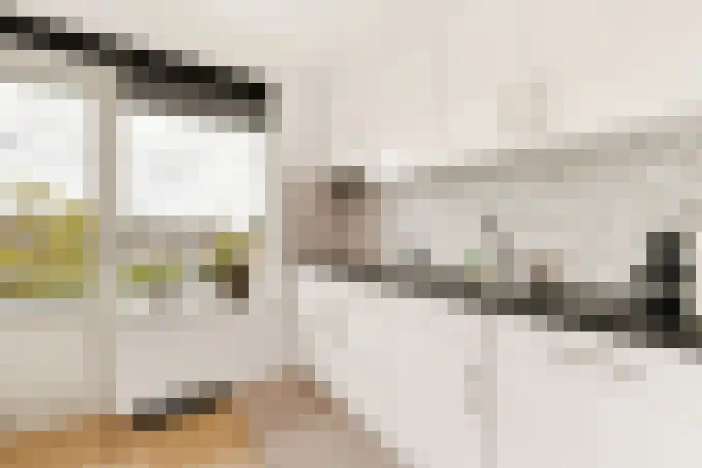 J.H. van Straaten van Nesplantsoen 35 Boskoop thumbnail 4