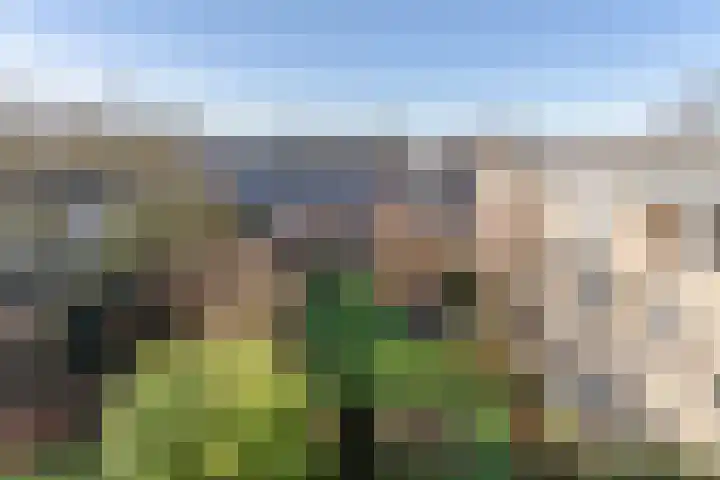 J.H. van Straaten van Nesplantsoen 36 Boskoop thumbnail 14