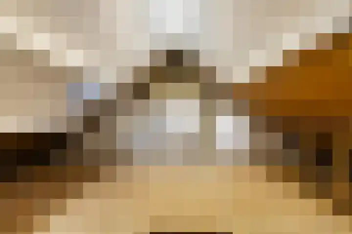 J.H. van 't Hoffstraat 9 Eerbeek thumbnail 21