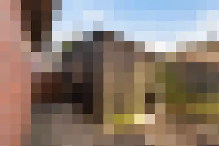J.H. van 't Hoffstraat 9 Eerbeek thumbnail 23