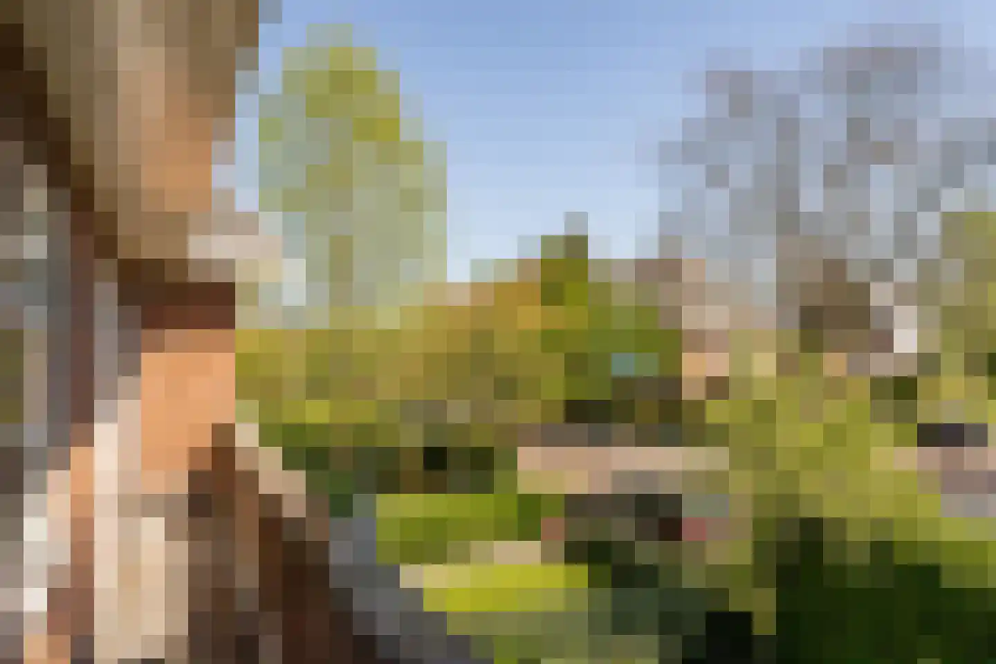 J.H. van 't Hoffweg 1 A Bussum thumbnail 22