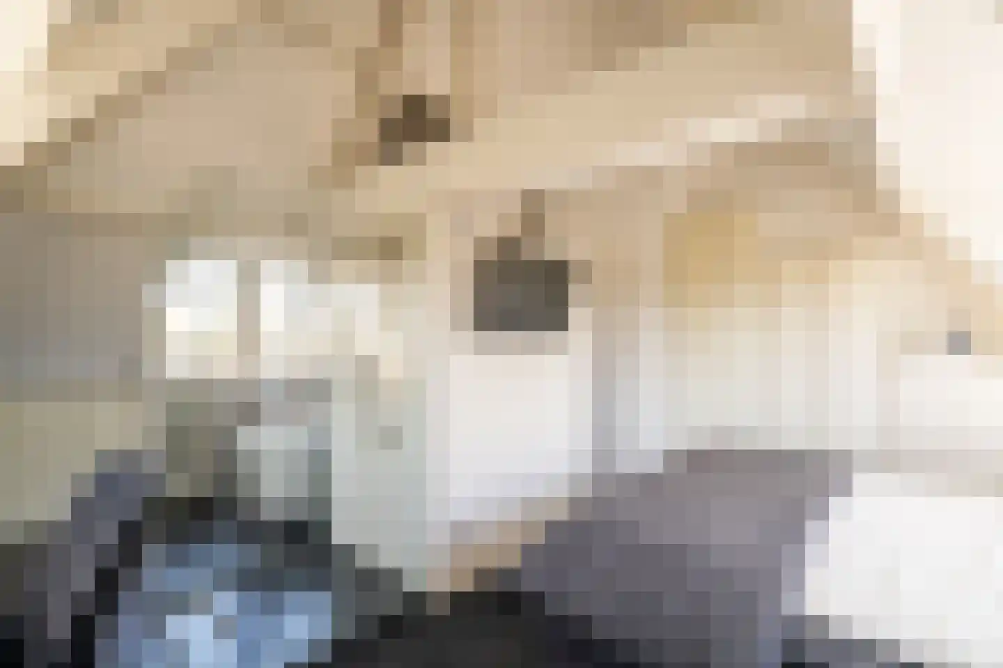 J.H. van 't Hoffweg 1 A Bussum thumbnail 30