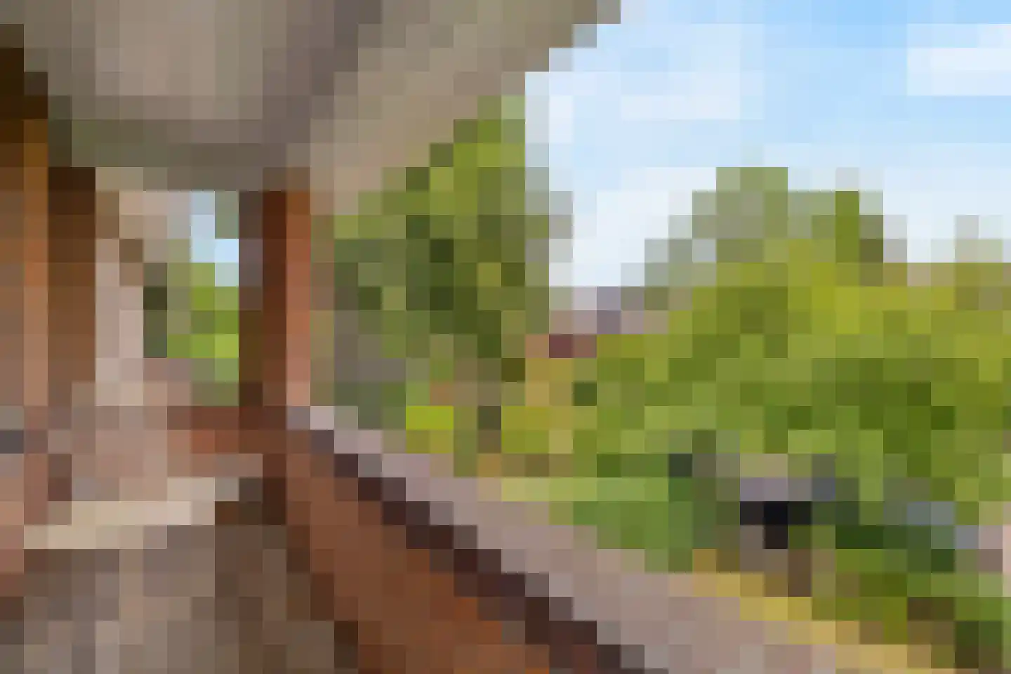 J.H. van 't Hoffweg 26 Bussum thumbnail 21