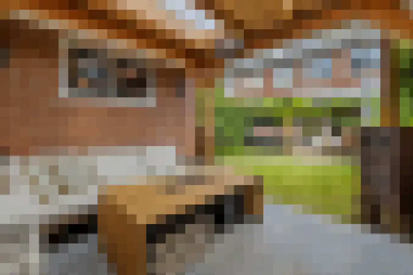J.H. van 't Hoffweg 26 Bussum thumbnail 36