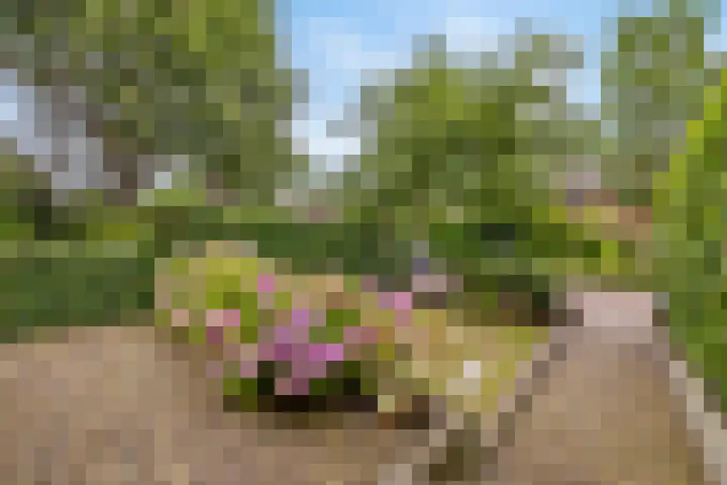 J.H. van 't Hoffweg 26 Bussum thumbnail 4
