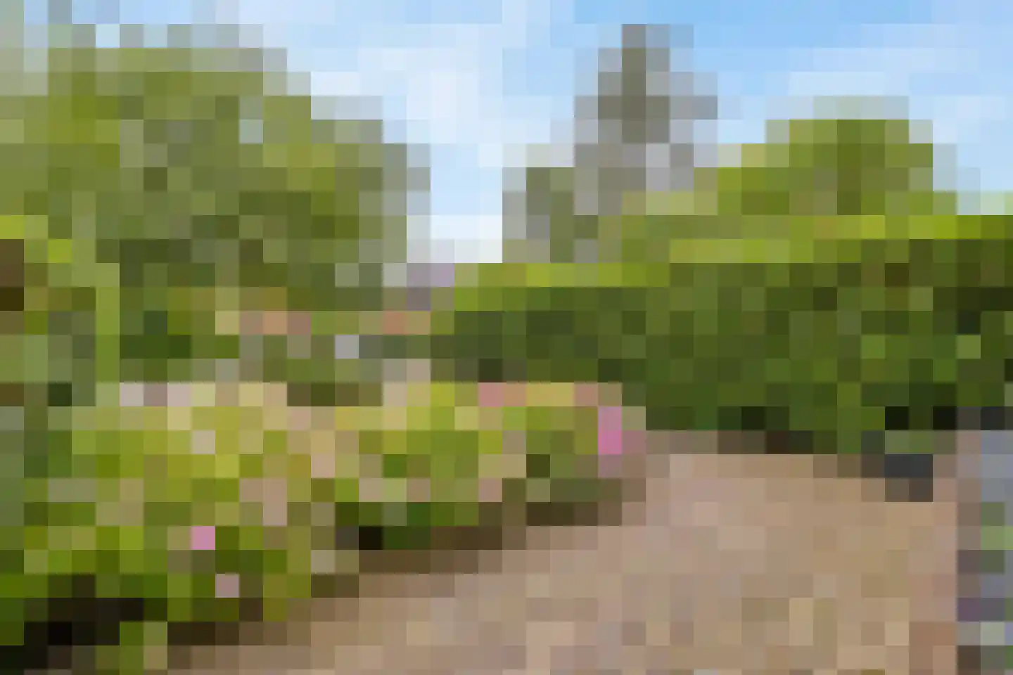 J.H. van 't Hoffweg 26 Bussum thumbnail 41
