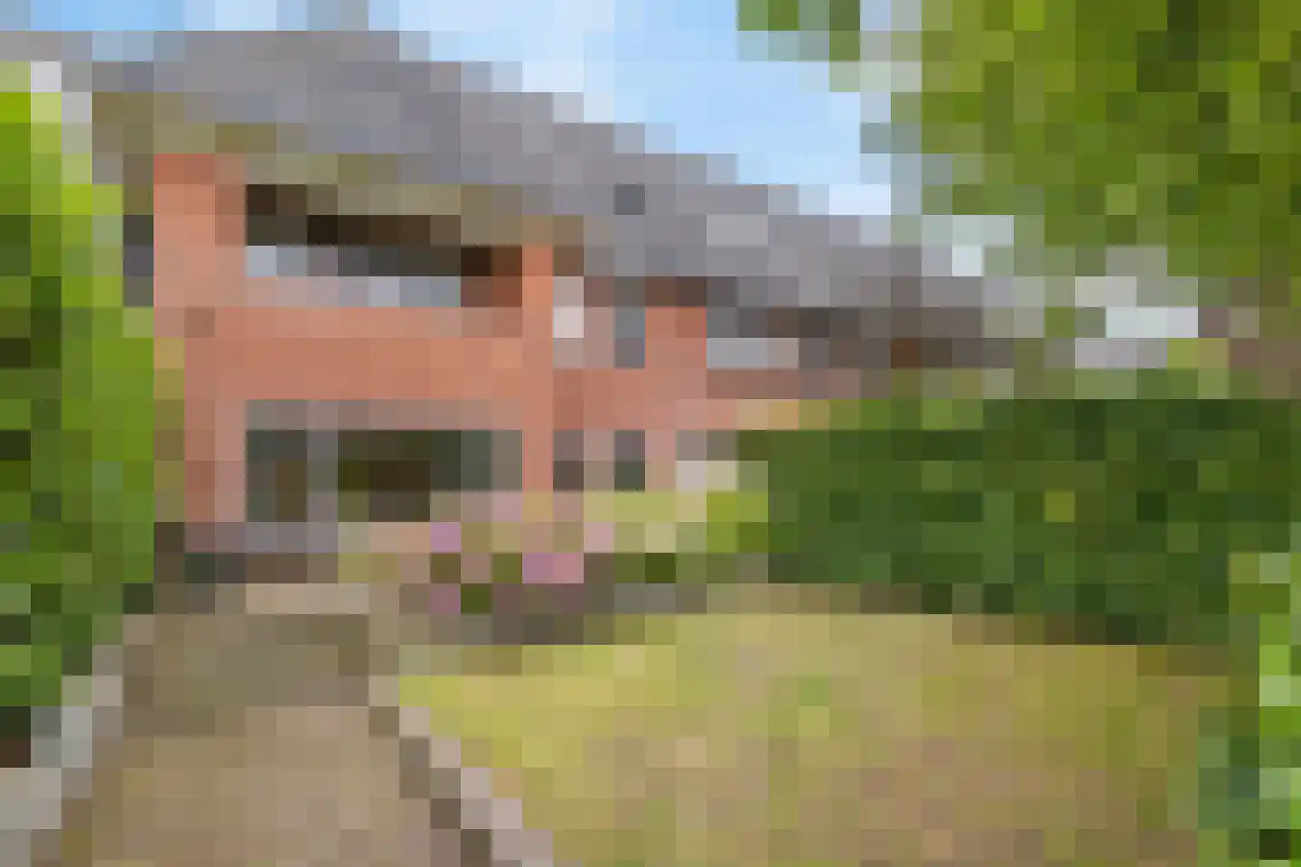 J.H. van 't Hoffweg 26 Bussum thumbnail 48