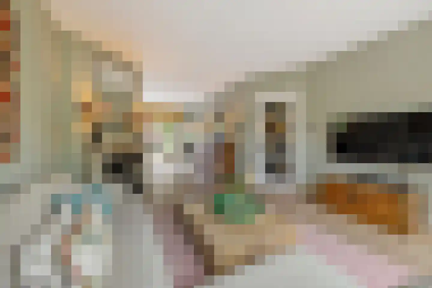 J.H. van 't Hoffweg 26 Bussum thumbnail 6