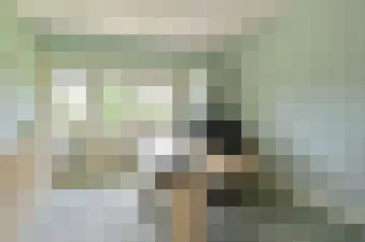 J.H. van 't Hoffweg 33 Bussum thumbnail 14