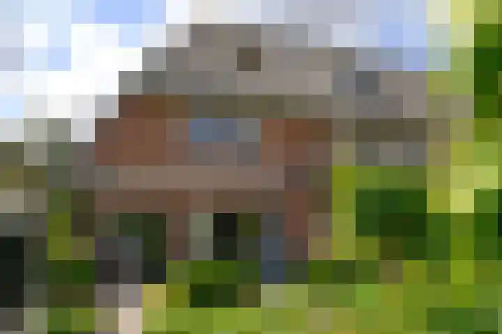 J.H. van 't Hoffweg 33 Bussum thumbnail 18