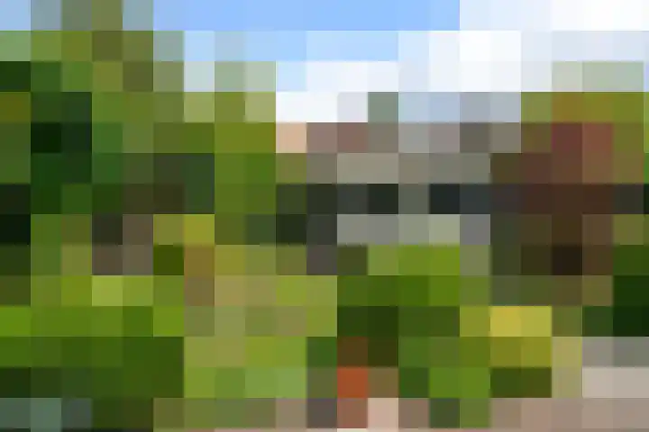 J.H. van 't Hoffweg 33 Bussum thumbnail 19