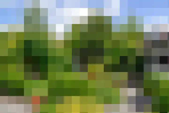 J.H. van 't Hoffweg 33 Bussum thumbnail 20