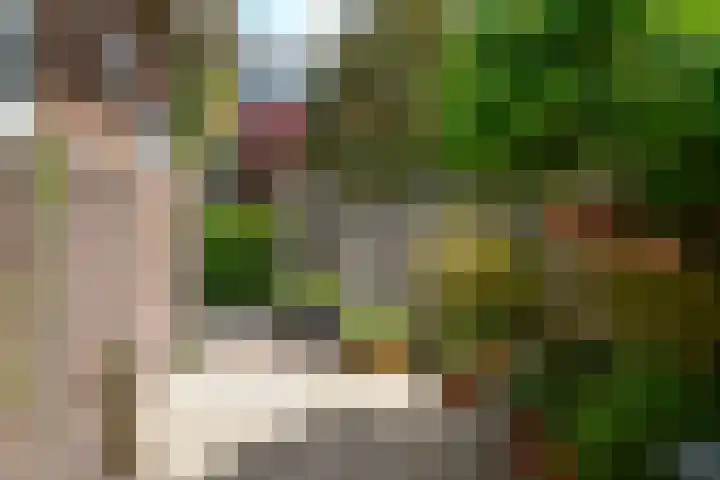 J.H. van 't Hoffweg 33 Bussum thumbnail 21