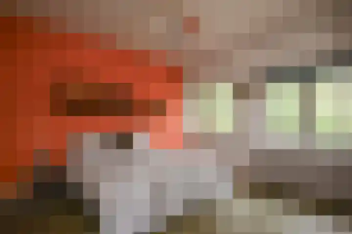 J.H. van 't Hoffweg 39 Bussum thumbnail 11