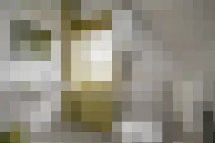 J.H. van 't Hoffweg 39 Bussum thumbnail 16