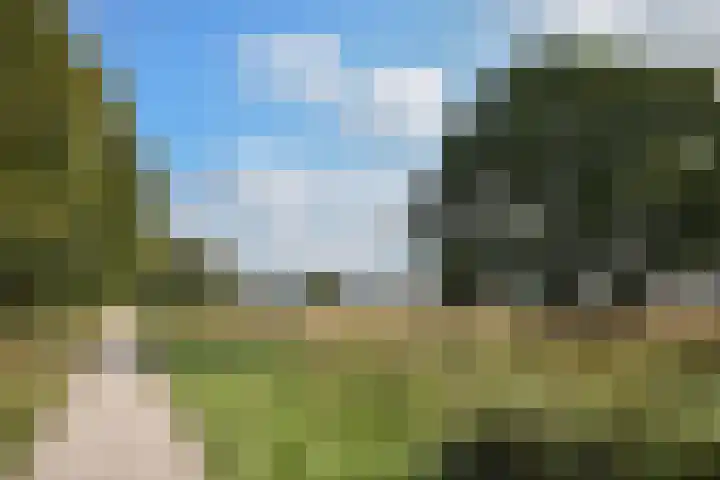 J.H. van 't Hoffweg 39 Bussum thumbnail 24