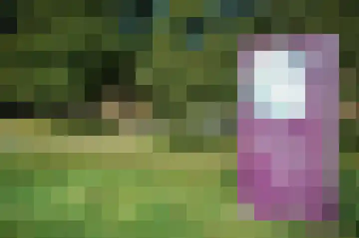 J.H. van 't Hoffweg 39 Bussum thumbnail 25