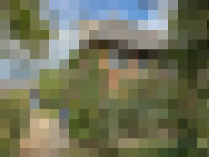 J.H. van 't Hoffweg 39 Bussum thumbnail 30