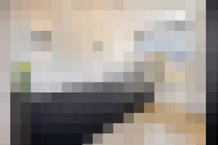 J Havingastraat 1 Kesteren thumbnail 12