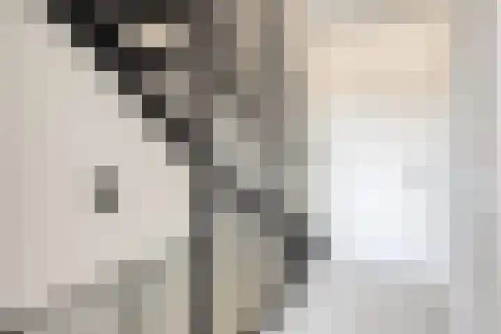 J Havingastraat 1 Kesteren thumbnail 28