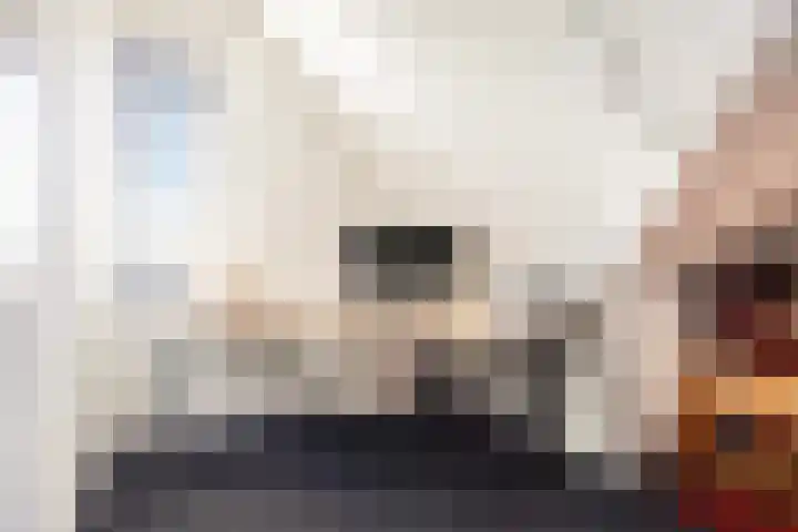 J Havingastraat 1 Kesteren thumbnail 30