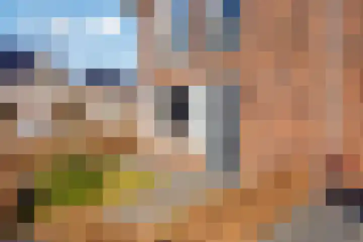 J Havingastraat 1 Kesteren thumbnail 39