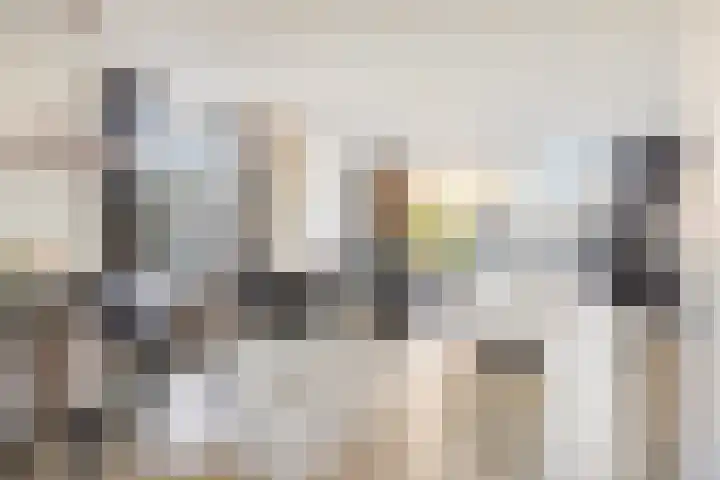 J Havingastraat 1 Kesteren thumbnail 4