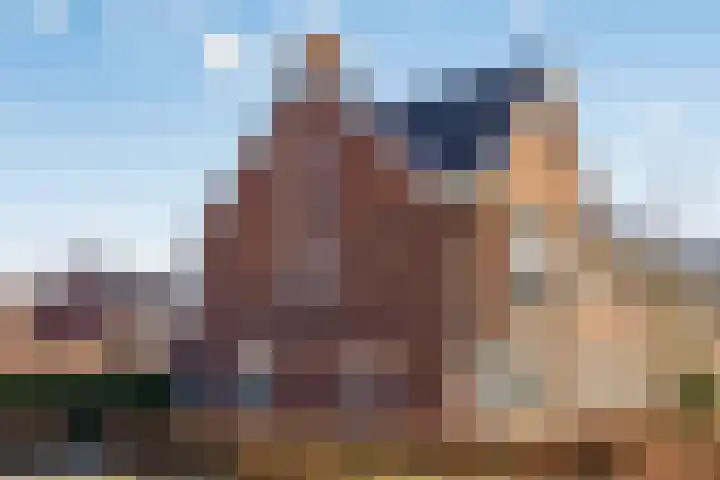J Havingastraat 1 Kesteren thumbnail 44