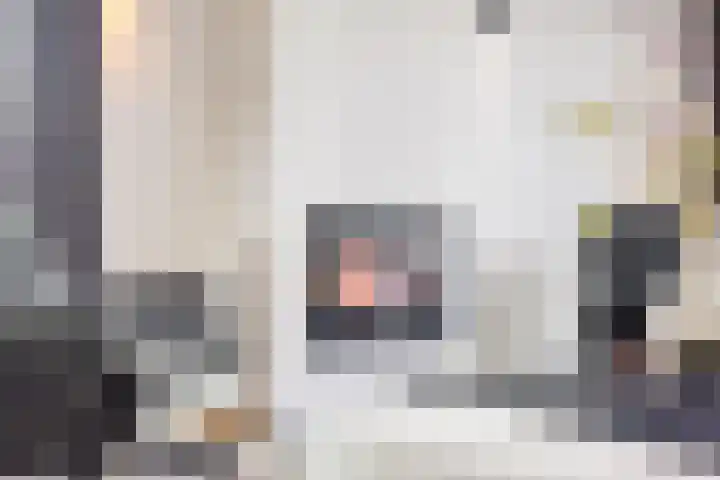 J Havingastraat 1 Kesteren thumbnail 5