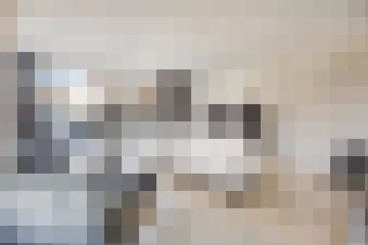 J Havingastraat 1 Kesteren thumbnail 6