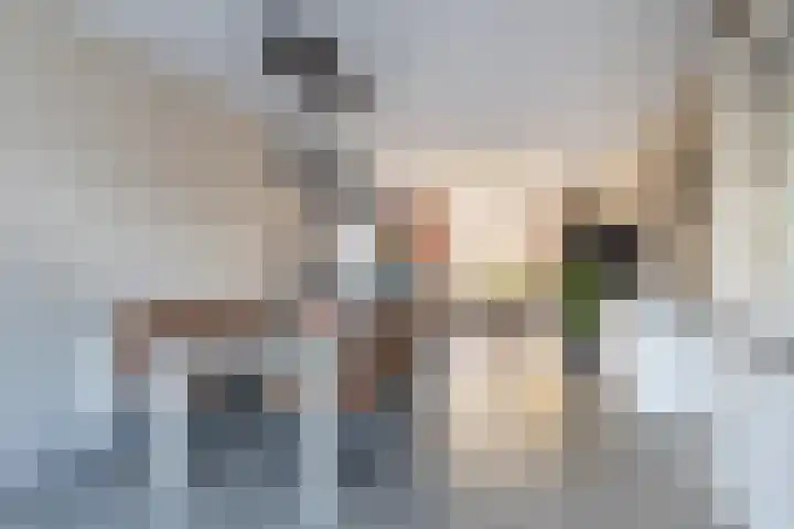 J. Homan van der Heideplein 70 Maarssen thumbnail 11